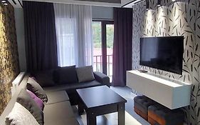 New Apartments In Borjomi