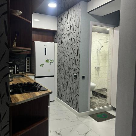 New Apartments In Боржоми Экстерьер фото
